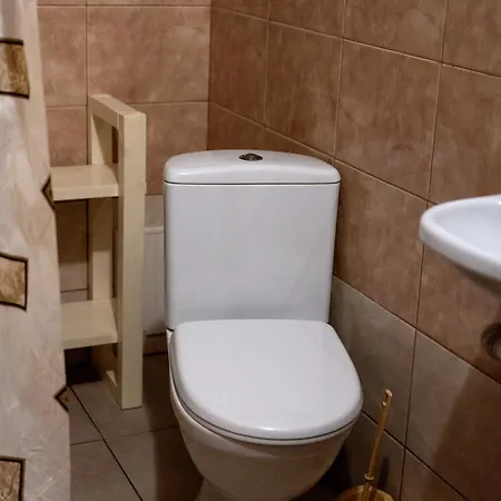 Guest house комфорт Slavske